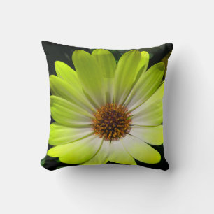 African Daisy Fluorescent Yellow Pillow