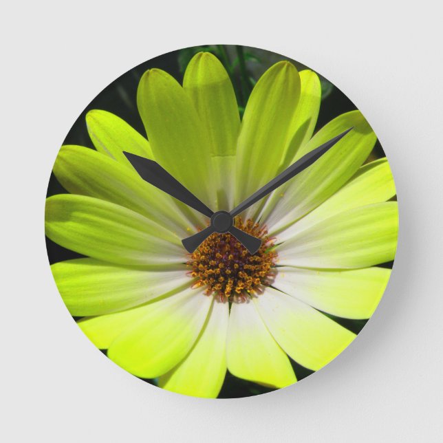 African Daisy Fluorescent Yellow Wall Clock (Front)