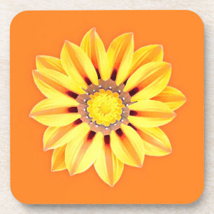 African Daisy / Gazania - Orange and Yellow Coaster