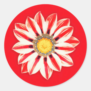 African Daisy / Gazania - Red and White Striped Classic Round Sticker