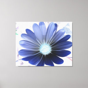 African Daisy Glowing Blue Canvas Print