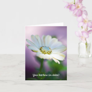 African Daisy Greeting Card