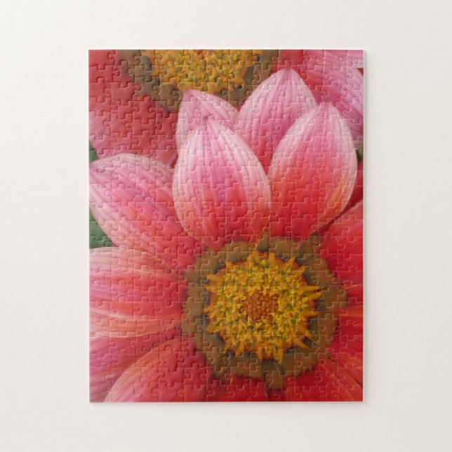 African Daisy Jigsaw Puzzle (Vertical)
