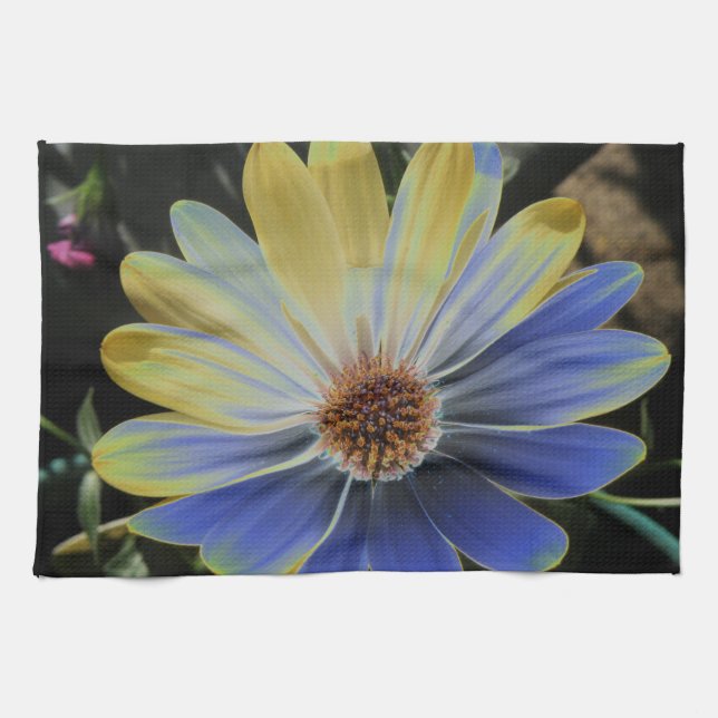 African Daisy Lapis and Gold Kitchen Towel (Horizontal)