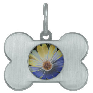 African Daisy Lapis and Gold Pet Tag