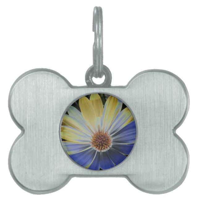 African Daisy Lapis and Gold Pet Tag (Front)