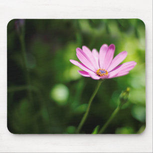 African daisy mouse pad
