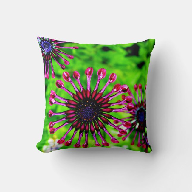 African Daisy Pink Green   Flower throw pillow (Front)