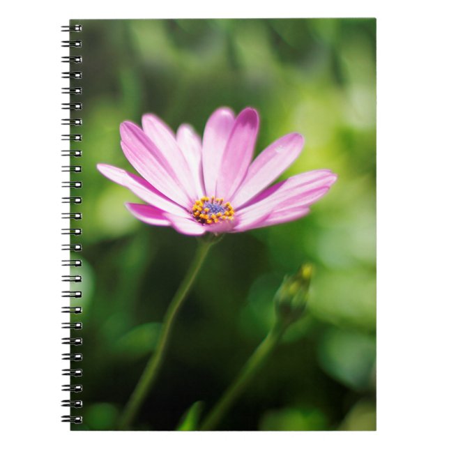 African daisy spiral notebook (Front)