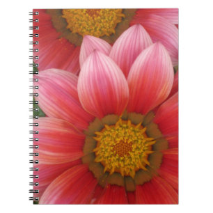 African Daisy Spiral Notebook