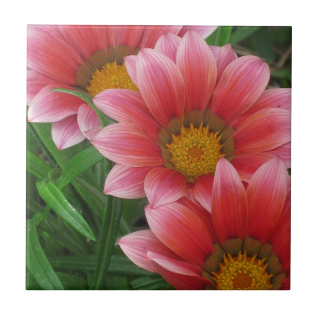 African Daisy Tile (Front)