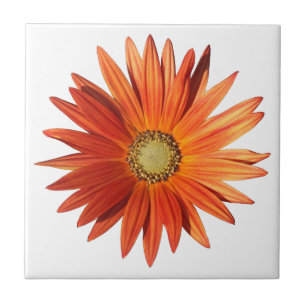 African Daisy Tile