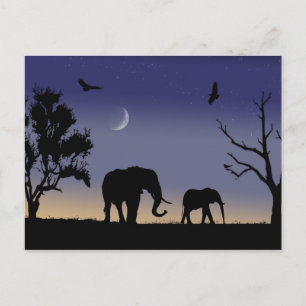 African dawn - elephants postcard
