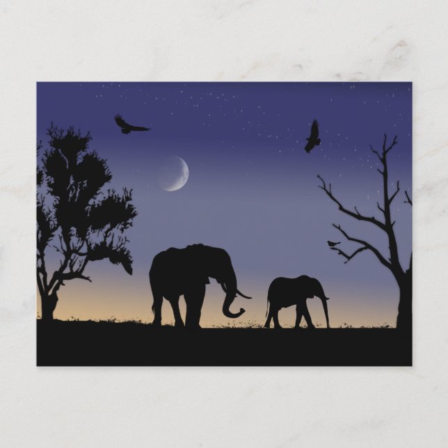 African dawn - elephants postcard (Front)