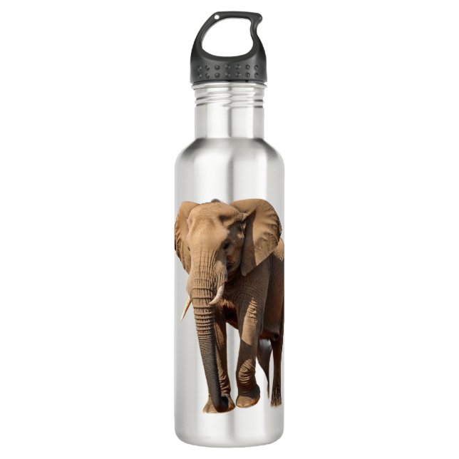 African Elephant 710 Ml Water Bottle (Front)