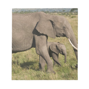African Elephant and cub (Loxodonta africana), Notepad