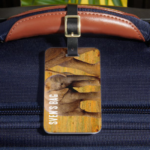 African Elephant baby calf Luggage Tag