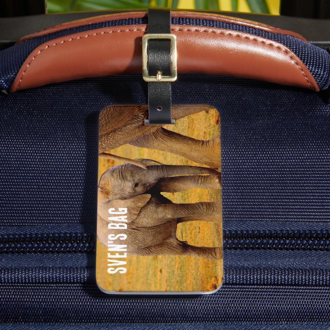 African Elephant baby calf Luggage Tag (Front Insitu 2)