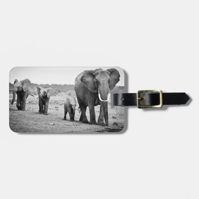 African Elephant & Calves | Kenya, Africa Luggage Tag (Front Horizontal)