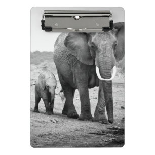 African Elephant & Calves Kenya, Africa Mini Clipboard