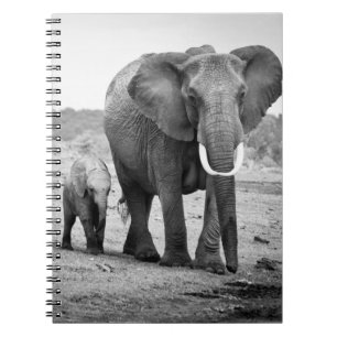 African Elephant & Calves Kenya, Africa Spiral Notebook