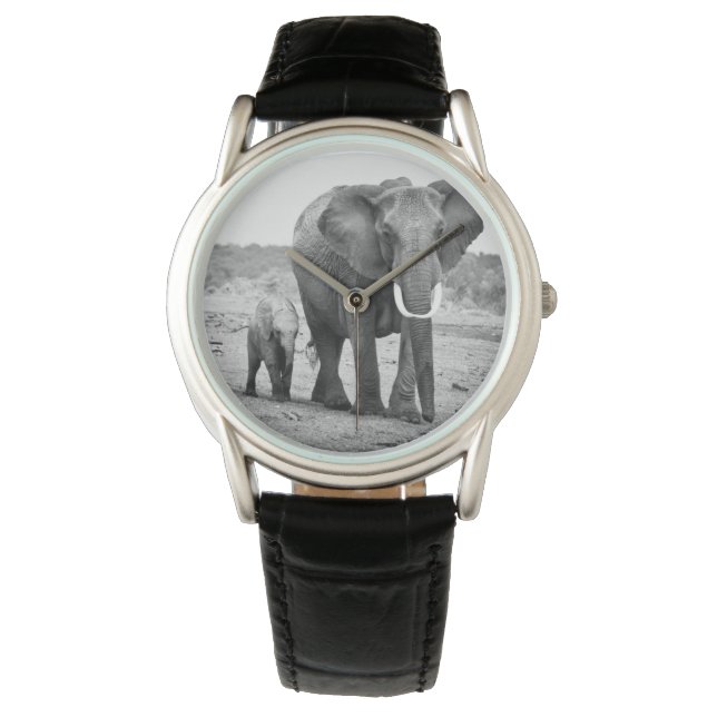 African Elephant & Calves | Kenya, Africa Watch (Front)