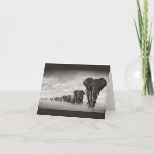 African Elephant Card