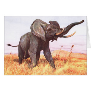 African elephant Card