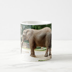 African elephant coffee mug