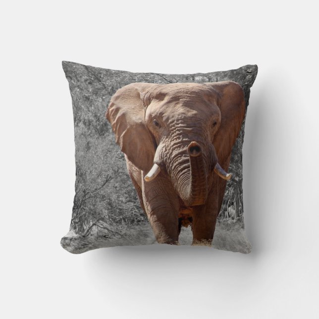 African Elephant Cushion (Front)
