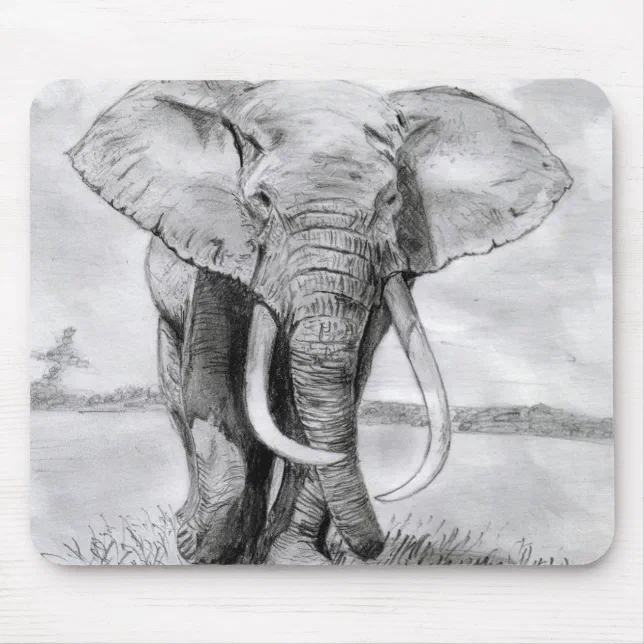 Premium Vector | Hand drawn elephant illustration vector