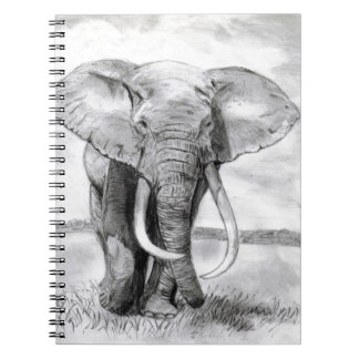 african elephant drawing in pencil design notebook
