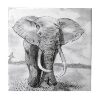 african elephant drawing in pencil design tile