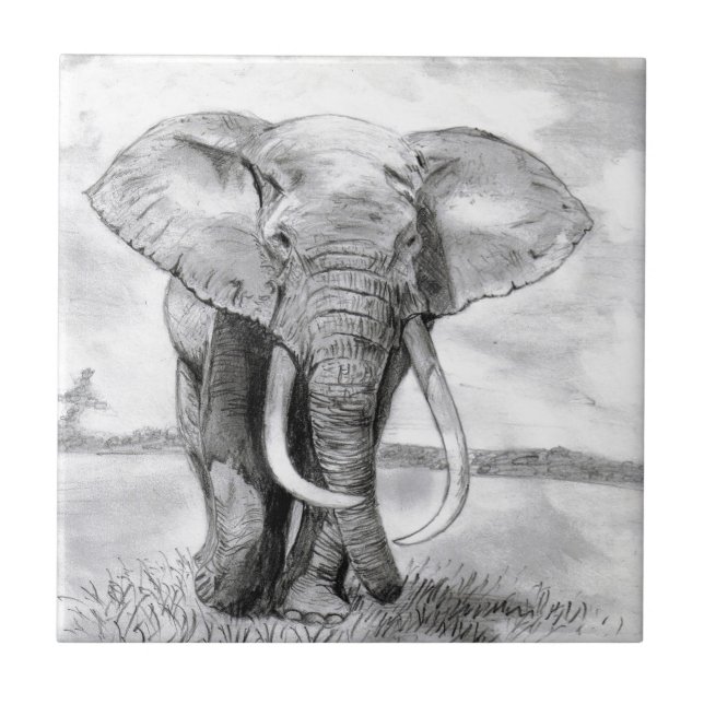 african elephant drawing in pencil design tile (Front)