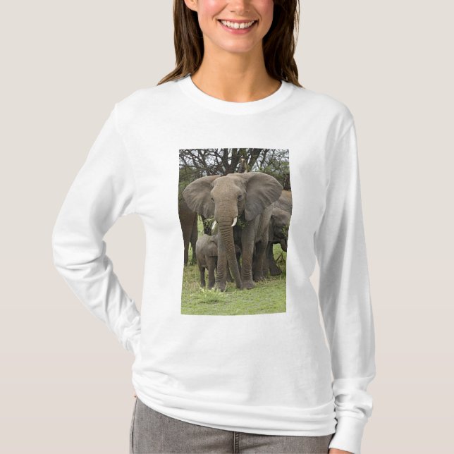 African Elephant | Herd T-Shirt (Front)