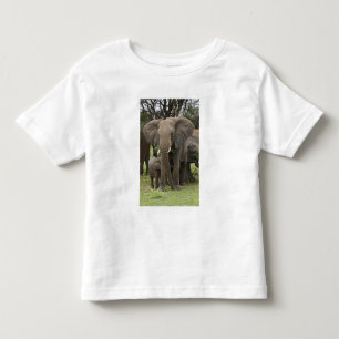 African Elephant Herd Toddler T-Shirt