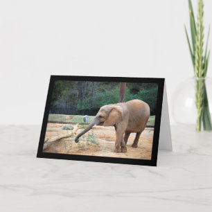 African Elephant in Park Portrait Card