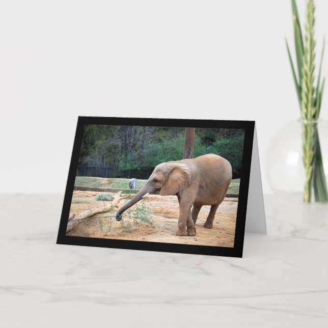 African Elephant in Park Portrait Card (Front)