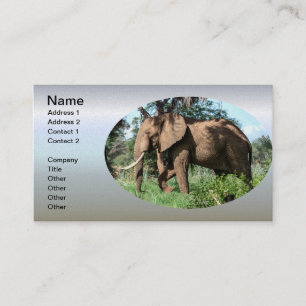 African Elephant in the Safari Business Card