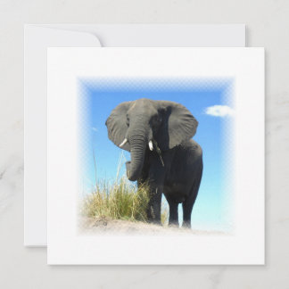 African Elephant Invitation