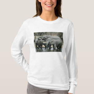 African Elephant, (Loxodonta africana), drinking T-Shirt