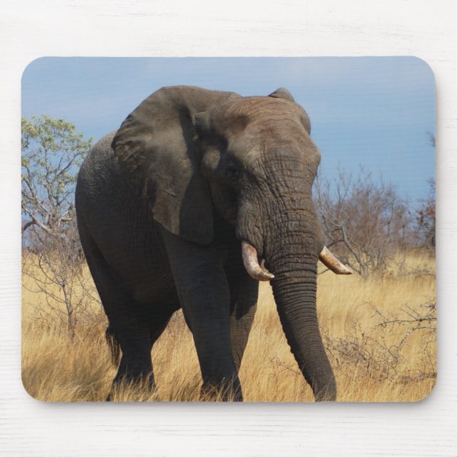 African Elephant Mouse Pad (Front)