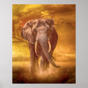 African Elephant Nobility Poster