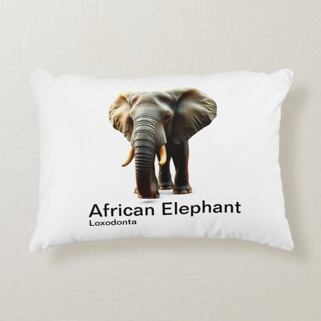 African elephant on a plain white background decorative cushion (Front)