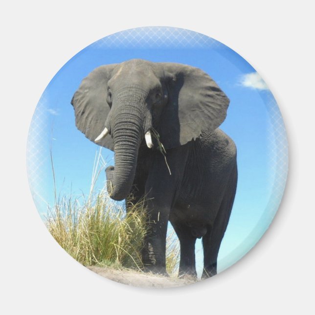 African Elephant Round Magnet (Front)