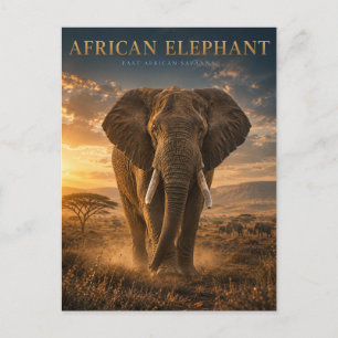 African Elephant Savanna ANIMALS Postcard