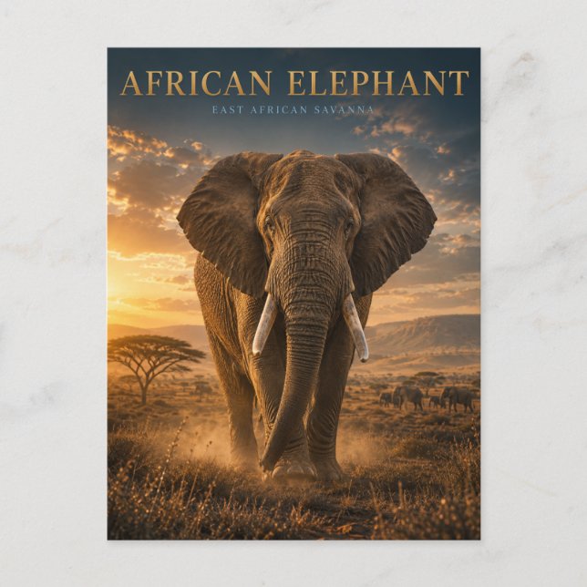 African Elephant Savanna ANIMALS Postcard (Front)