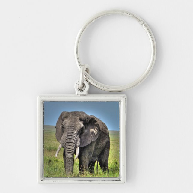 African Elephant & Savannah Grasses Key Ring (Front)