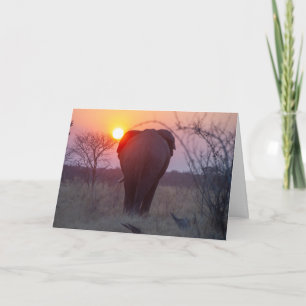 African Elephant Sunset Card