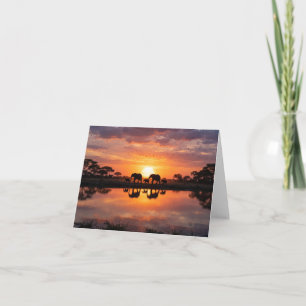 African Elephant Sunset Greeting Card
